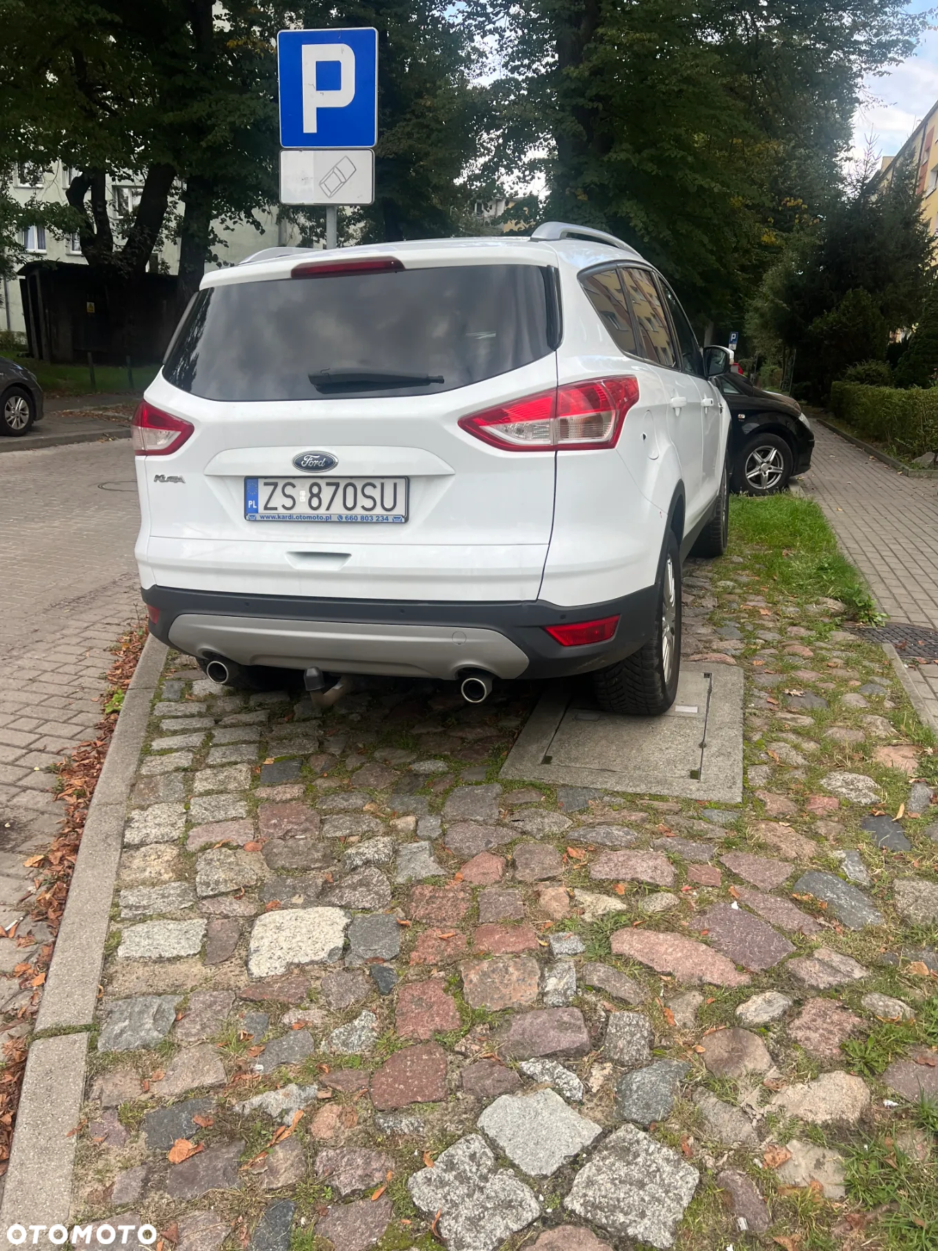 Ford Kuga 2.0 TDCi 4WD Titanium - 3