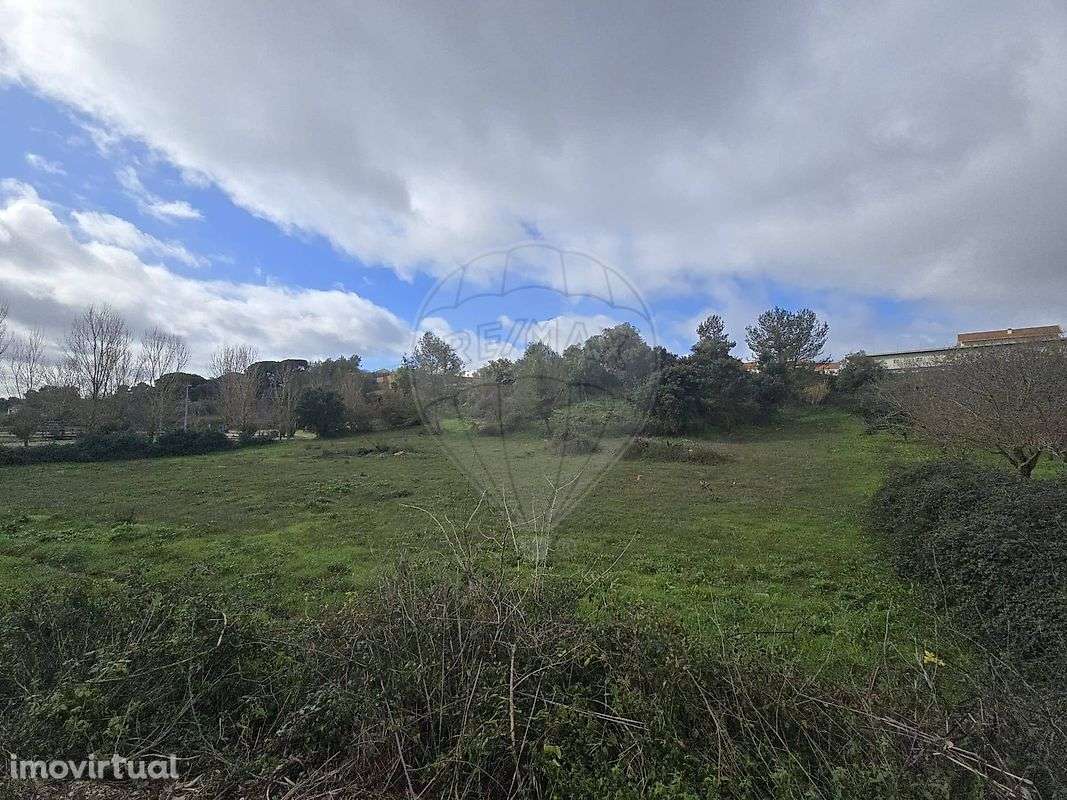 Terreno  para venda - Grande imagem: 4/5