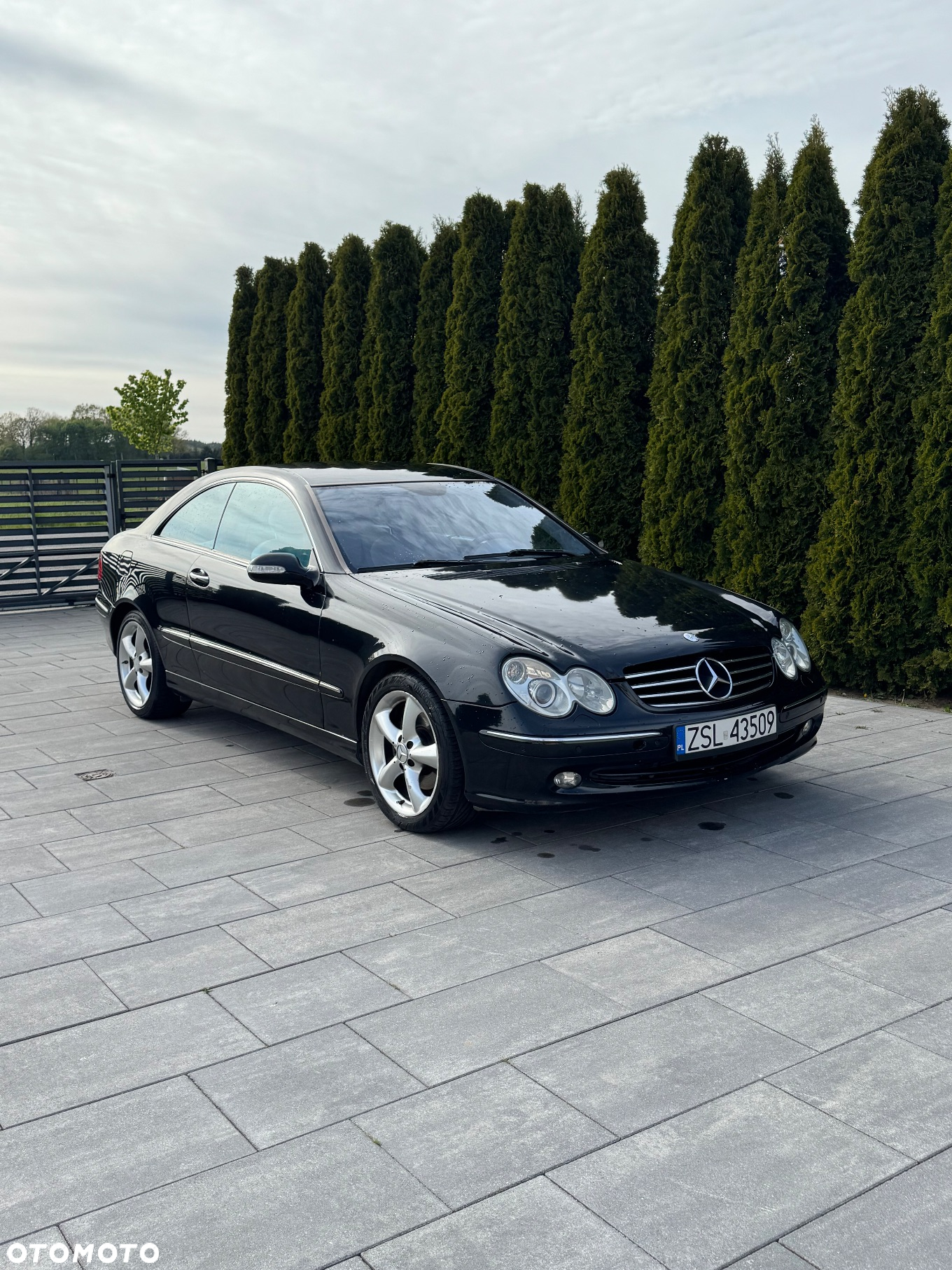 Mercedes-Benz CLK - 2
