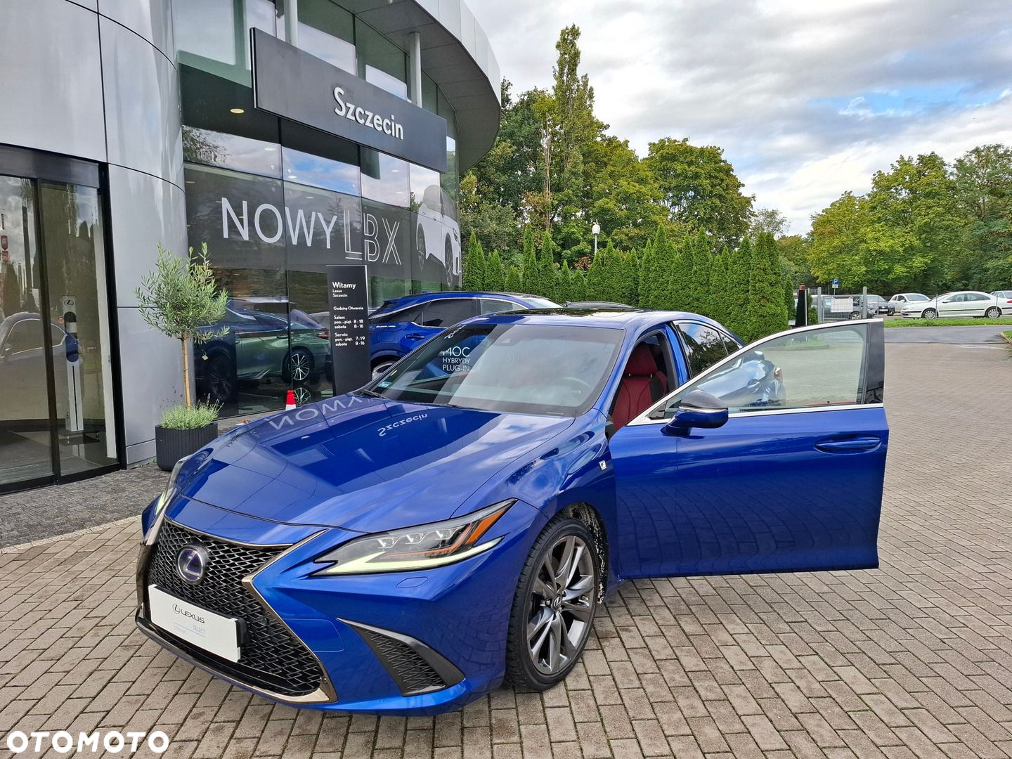 Lexus ES 300h F Sport Edition - 9