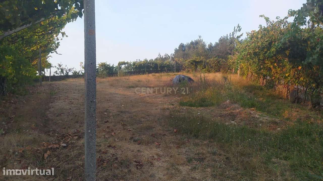 Terreno Rústico em Alvarenga – Arouca - Grande imagem: 5/6