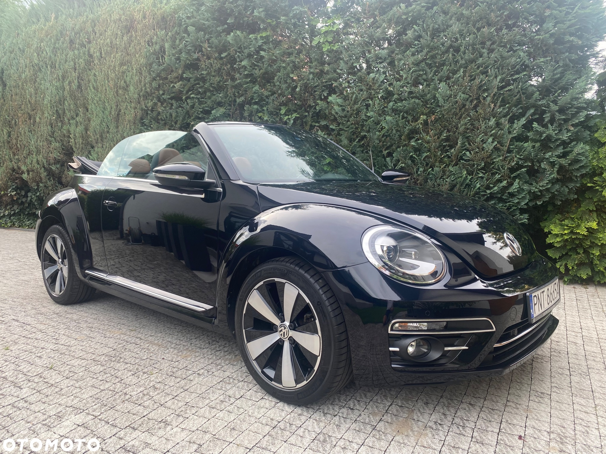 Volkswagen Beetle - 6