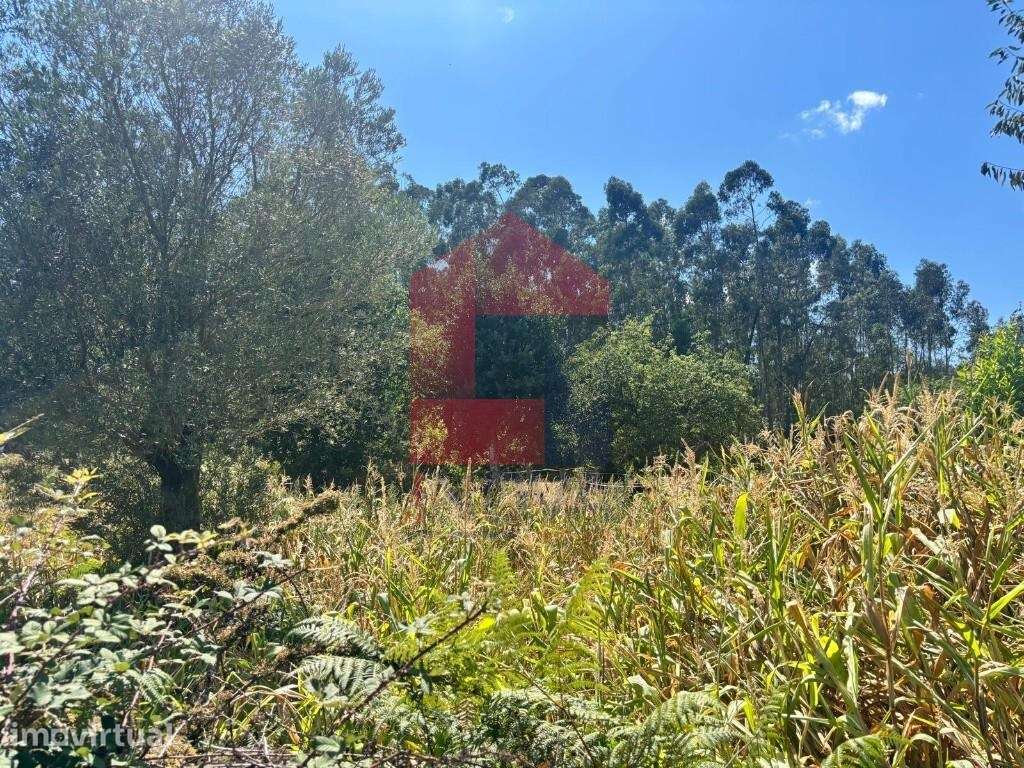 Terreno para construção, Godinhaços - Grande imagem: 3/10