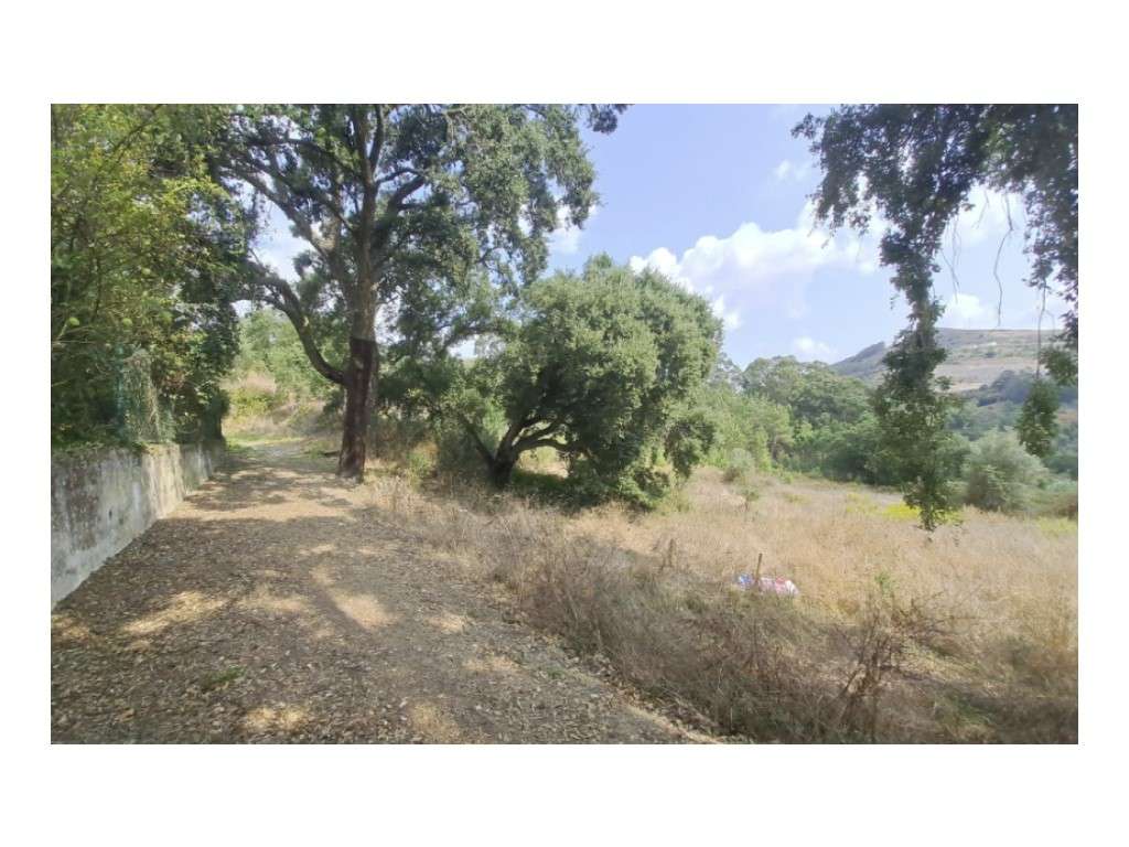 Terreno para Venda em Loures - Grande imagem: 2/11