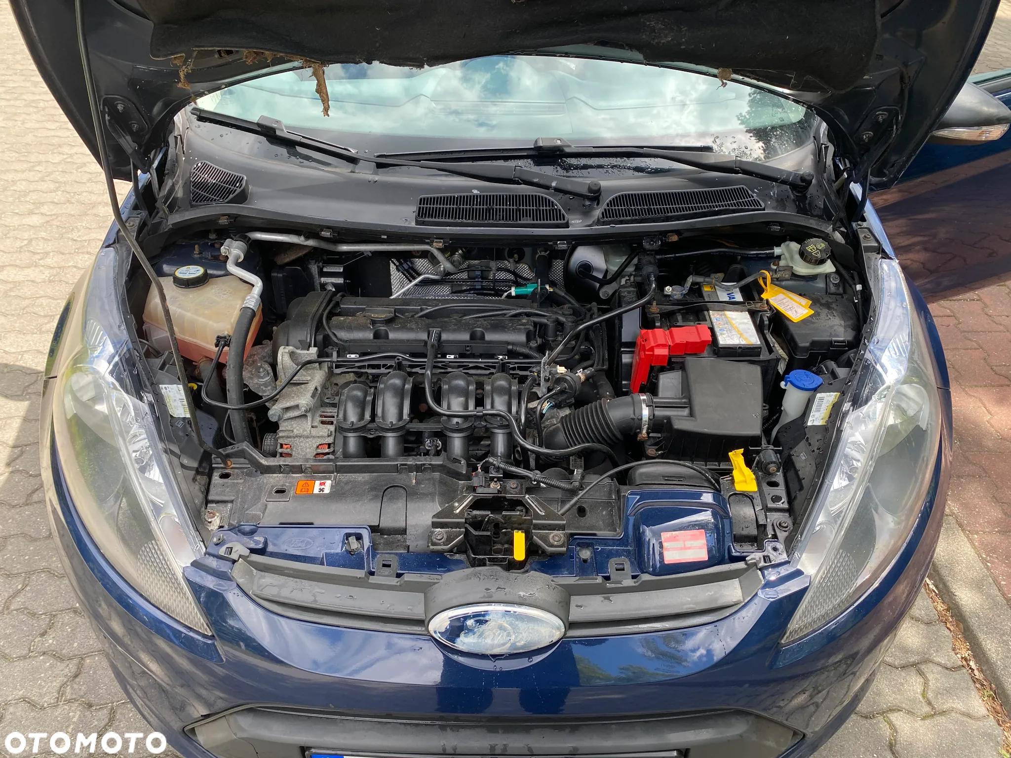 Ford Fiesta 1.25 Celebration - 16