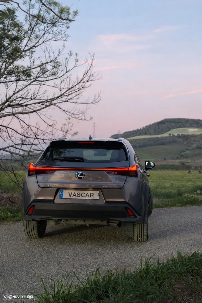 Lexus UX 250h Executive+ - 5