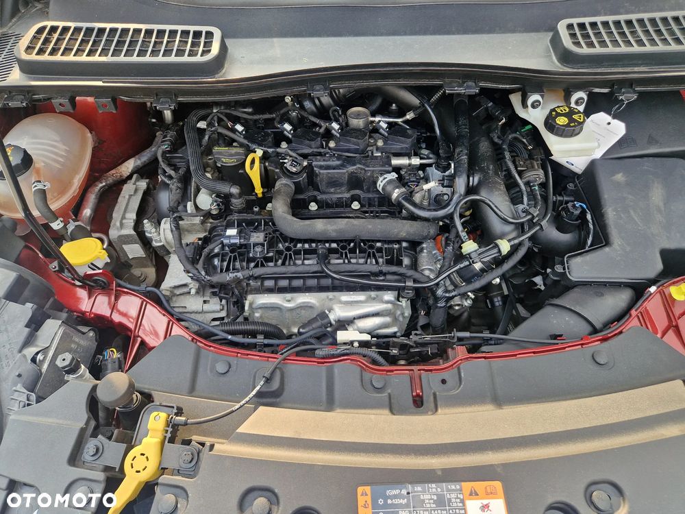 Ford Kuga 1.5 EcoBoost 2x4 Titanium - 15