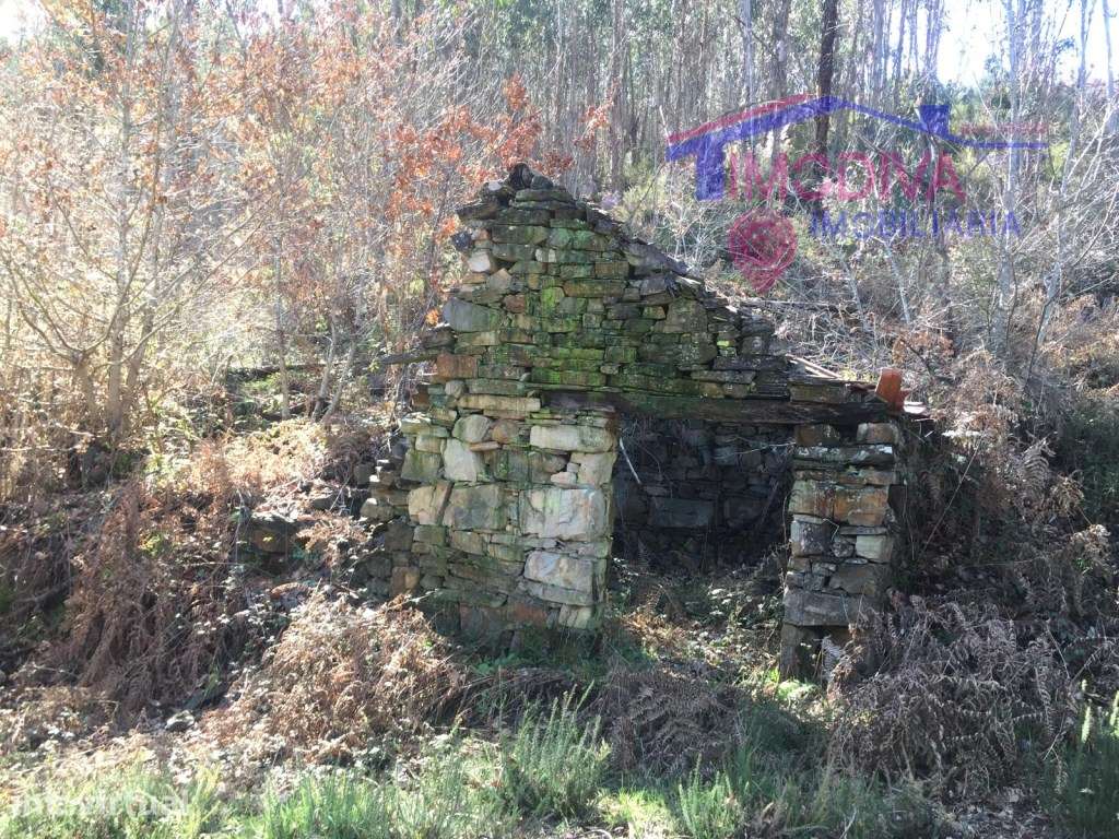 Casa para recuperar com 16.577m2m2 de terreno, a confinar com ribeira - Grande imagem: 2/19