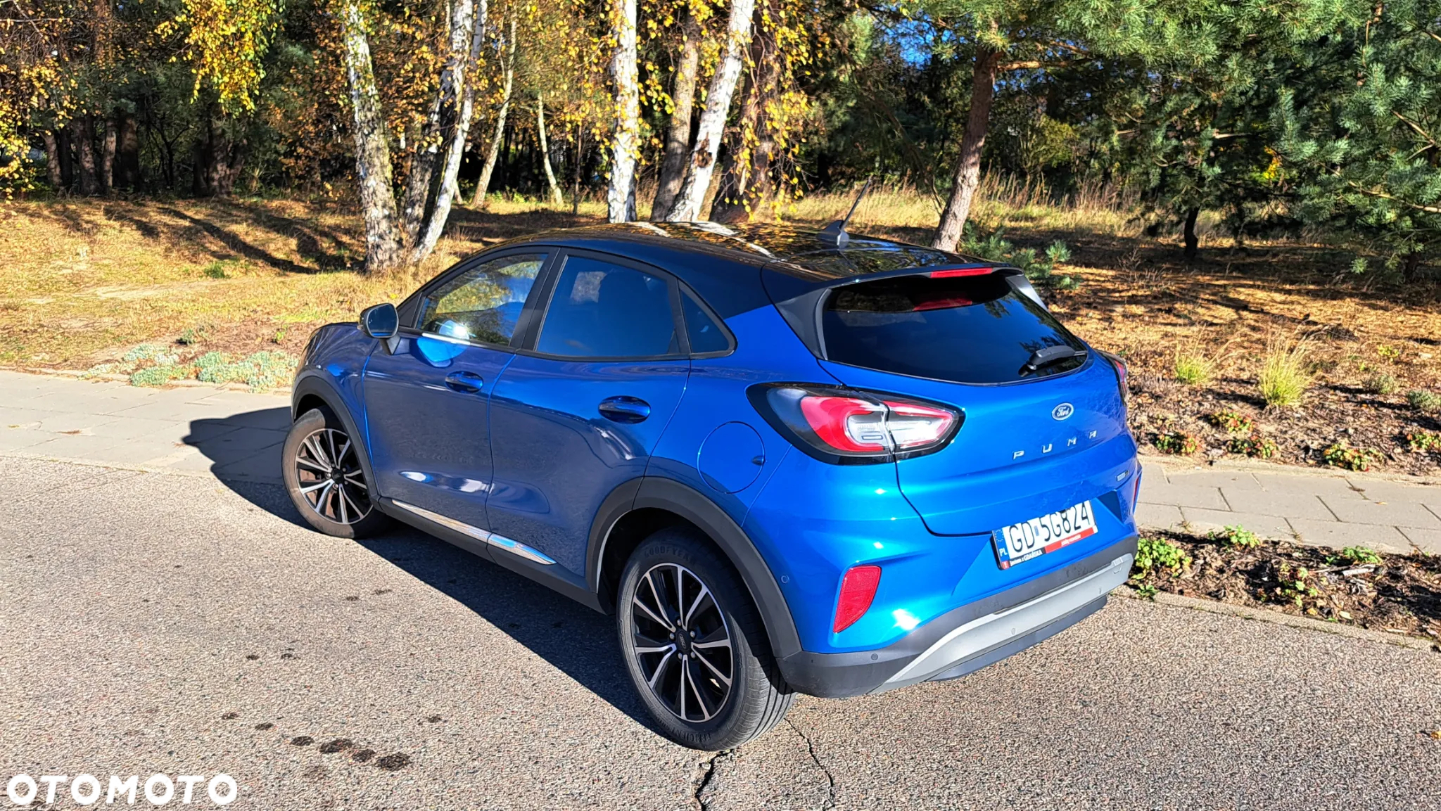 Ford Puma - 5