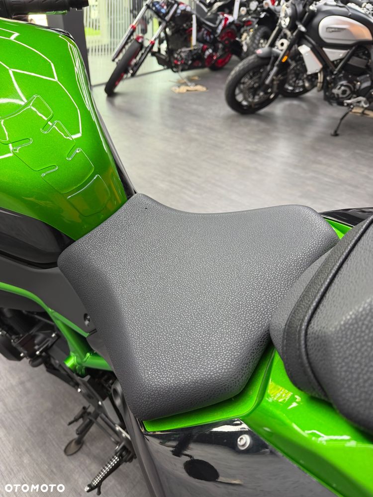 Kawasaki H2 - 22