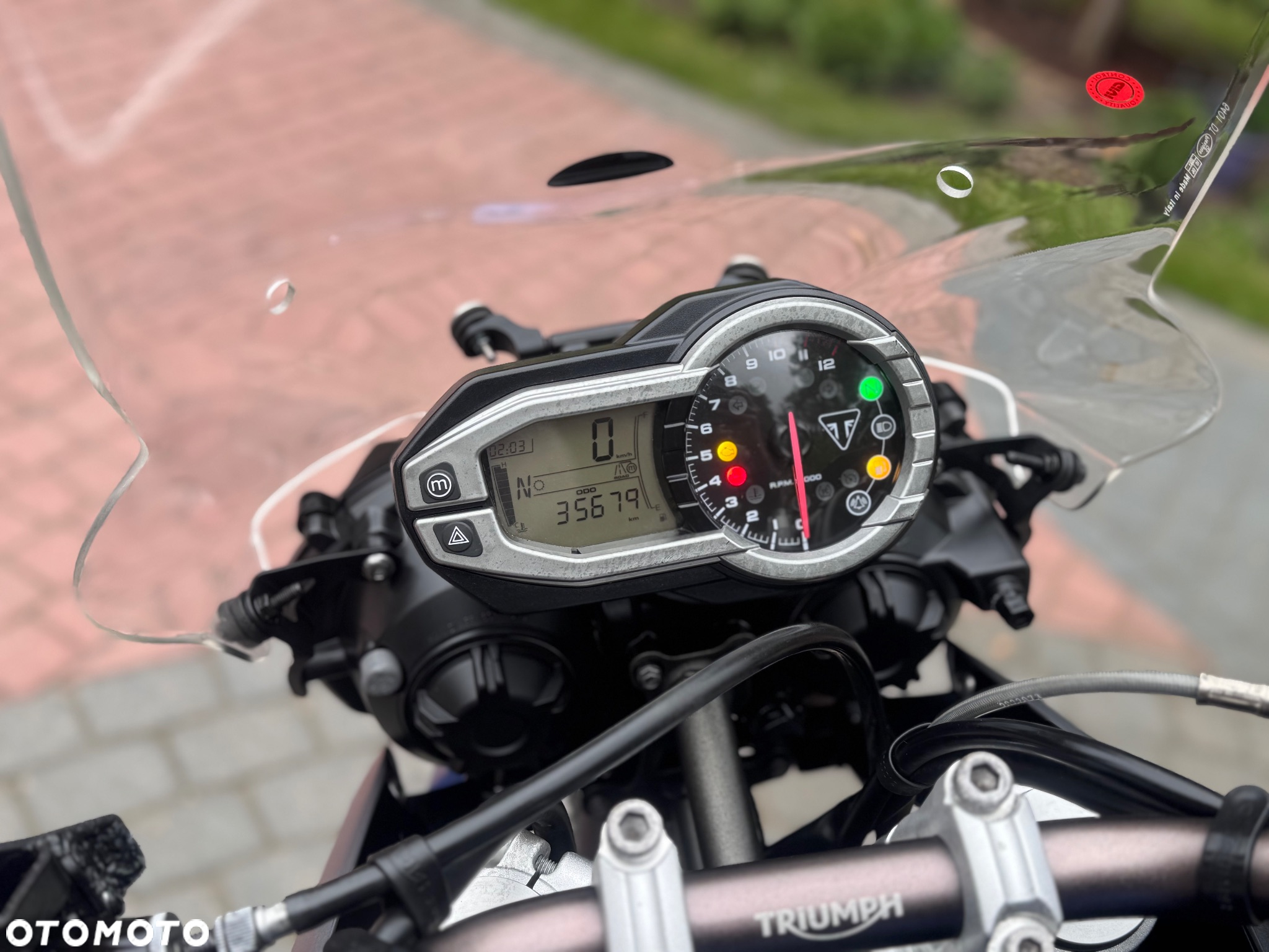 Triumph Tiger - 27