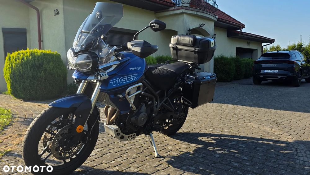 Triumph Tiger - 14