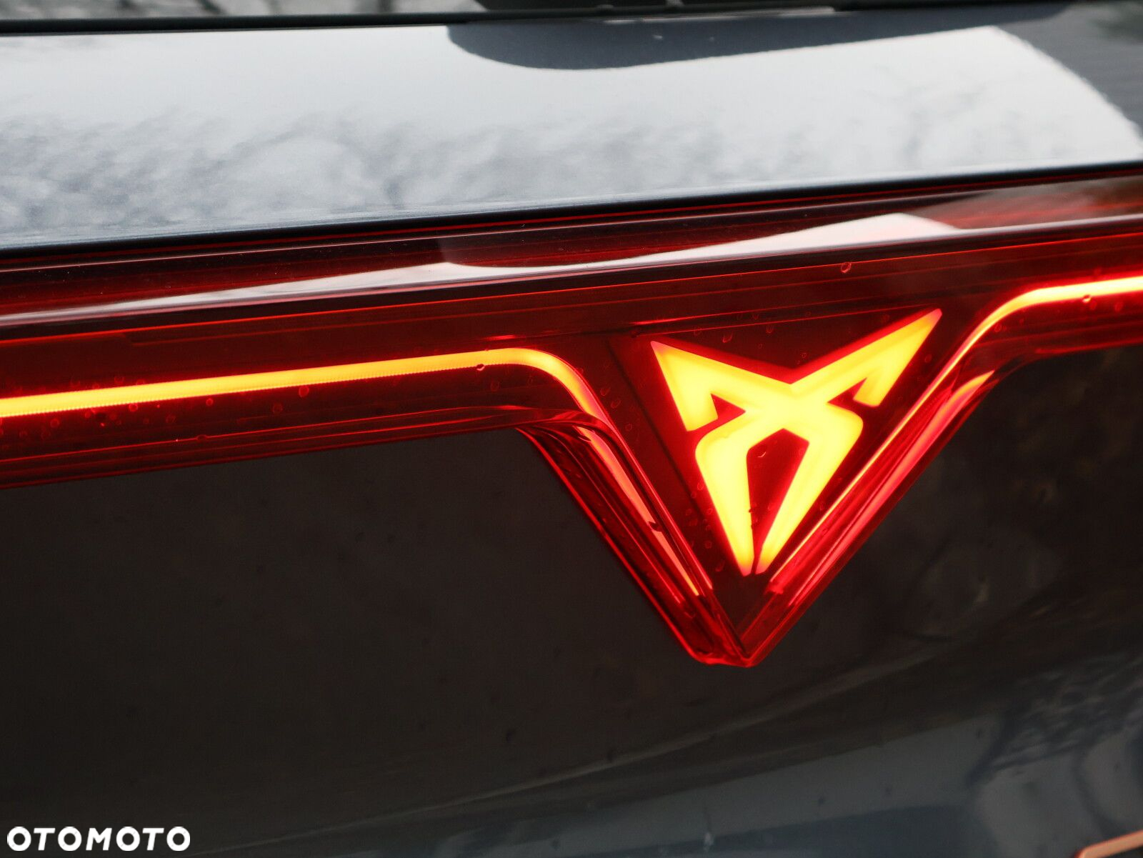 Cupra Formentor 1.5 eTSI mHEV DSG - 13