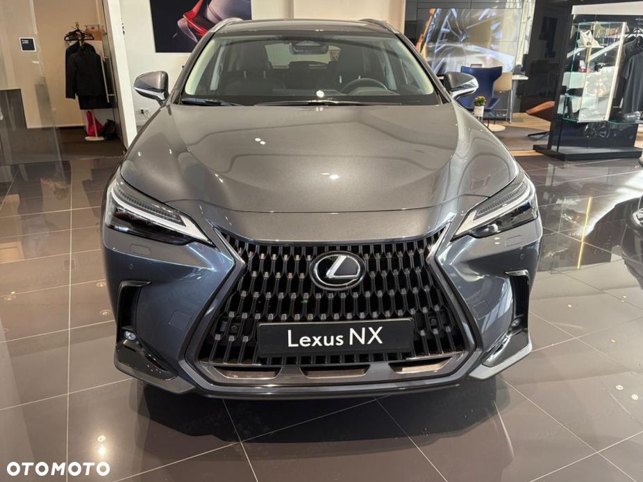 Lexus NX - 3
