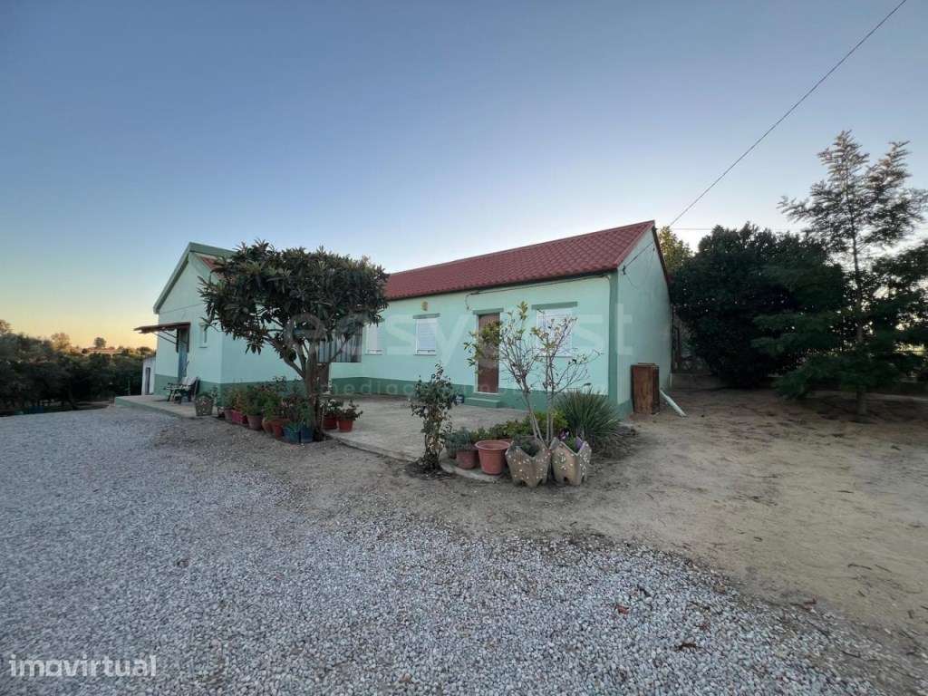 Quinta com casa na Asseiceira, Poceirão - Grande imagem: 5/32