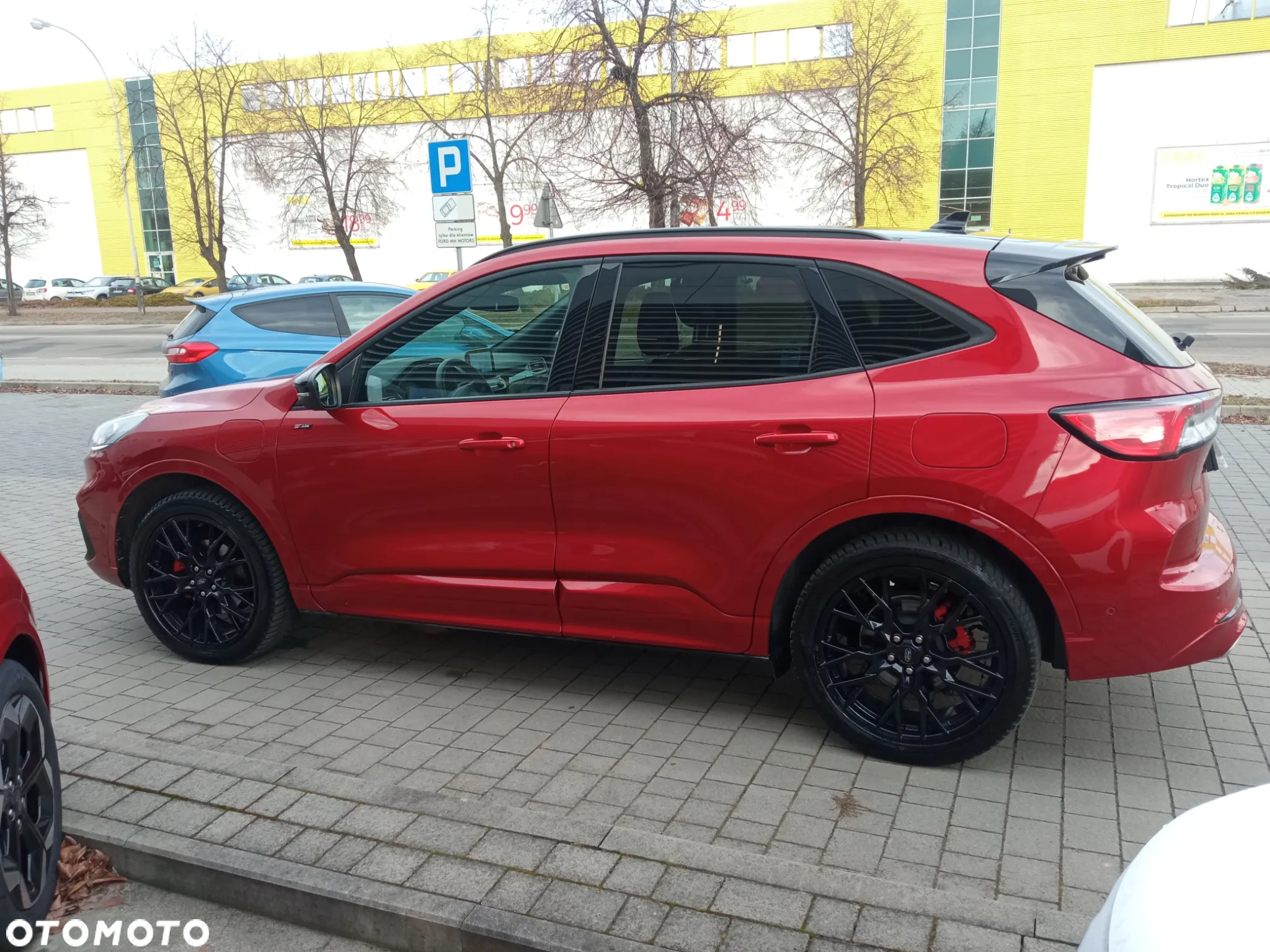 Ford Kuga ver-2-5p-phev-fwd-st--line-x - 5
