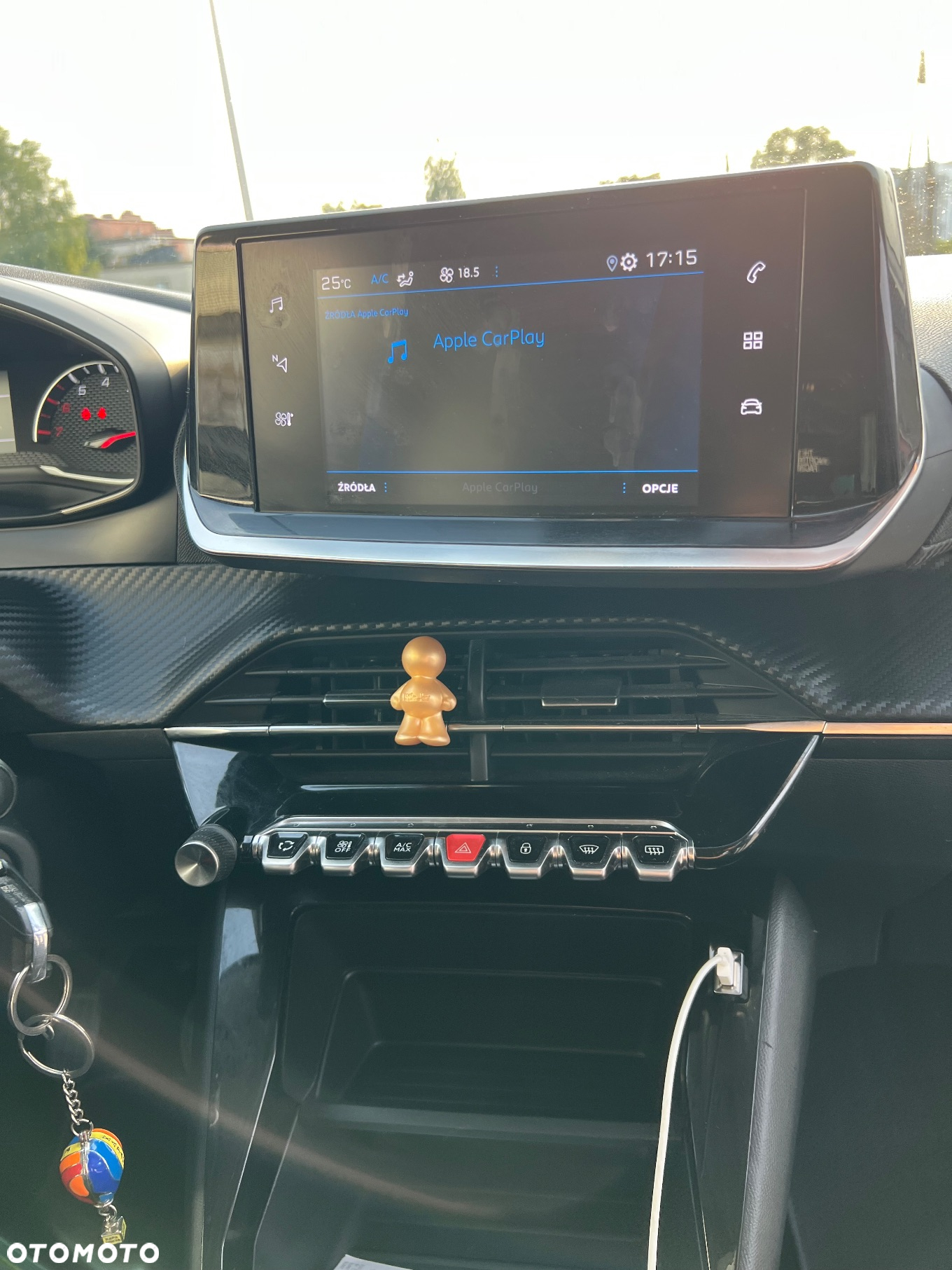 Peugeot 208 - 13