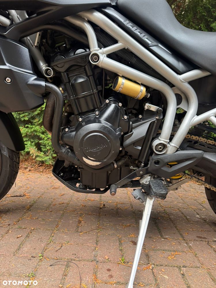 Triumph Tiger - 13