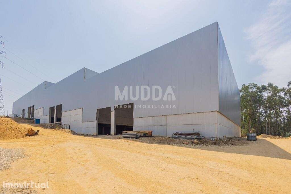 Armazéns novos para arrendamento na ZI da Farrapa - Arouca - Grande imagem: 2/19