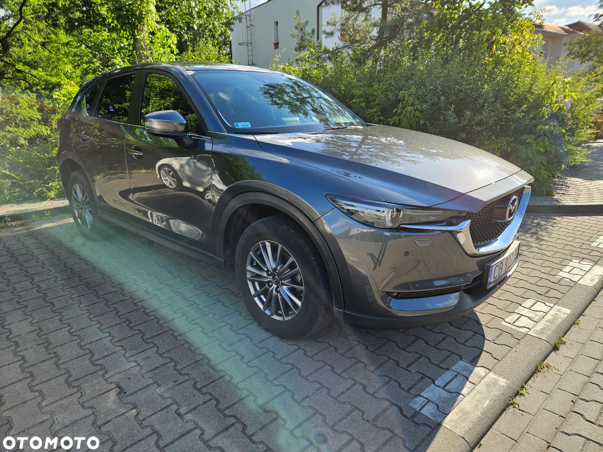 Mazda CX-5 2.0 Skyenergy 2WD - 2
