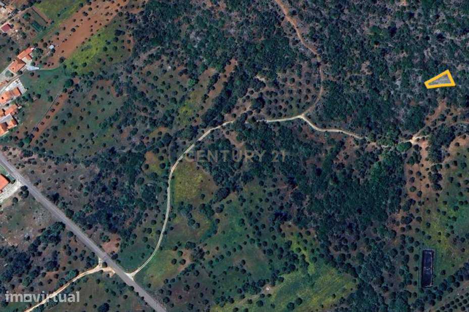 Terreno Rústico – Serra de Aire - Grande imagem: 4/6