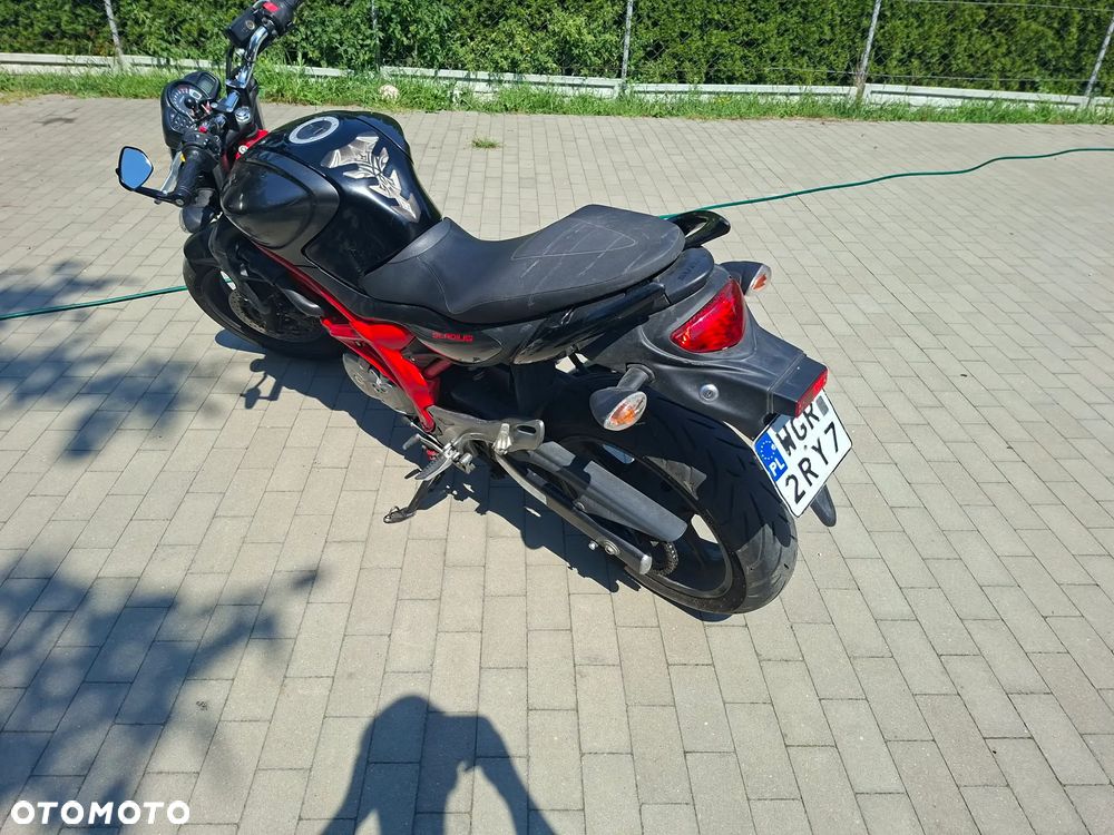 Suzuki Gladius - 5