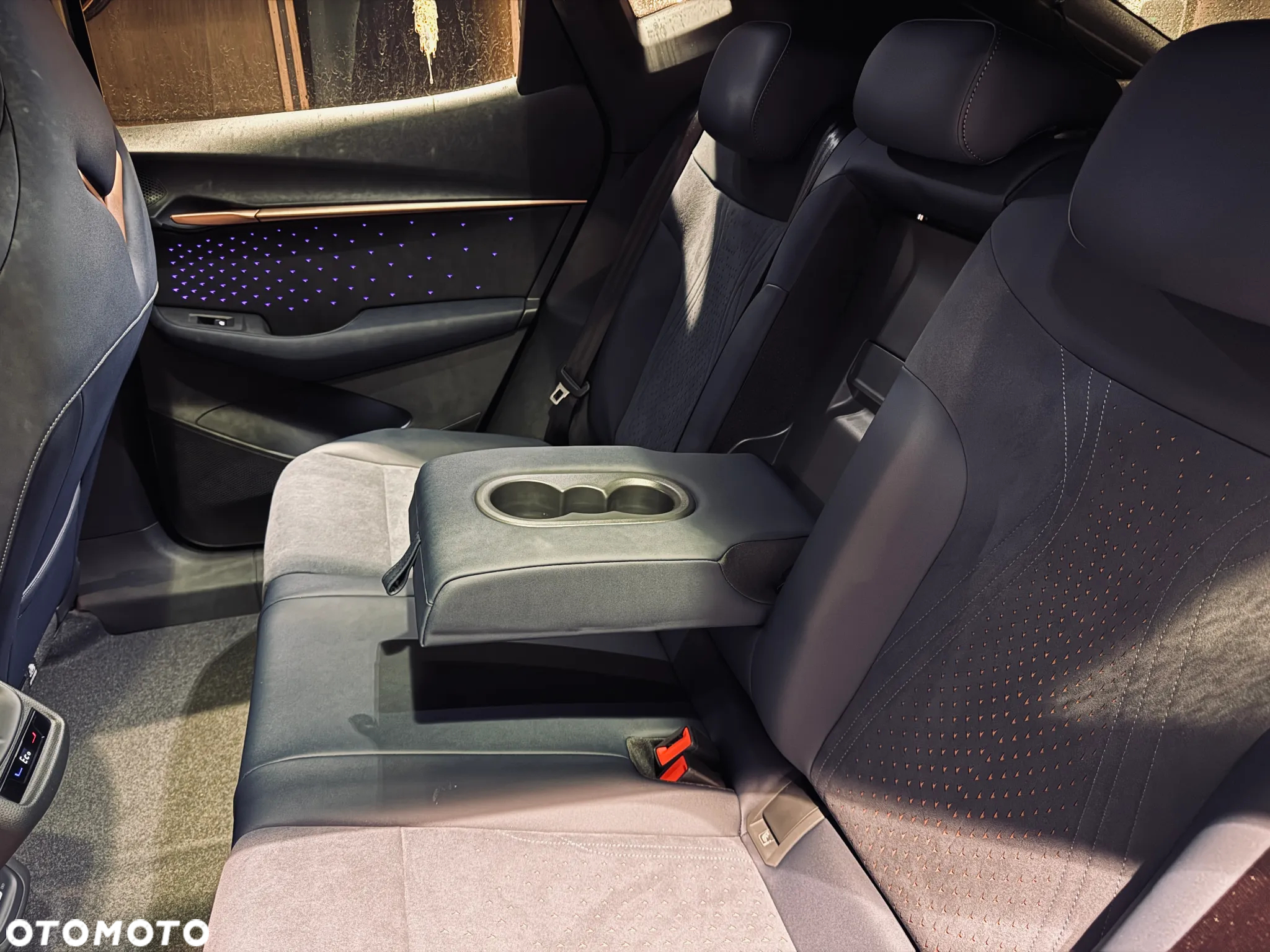Cupra Tavascan 82kWh Endurance - 12