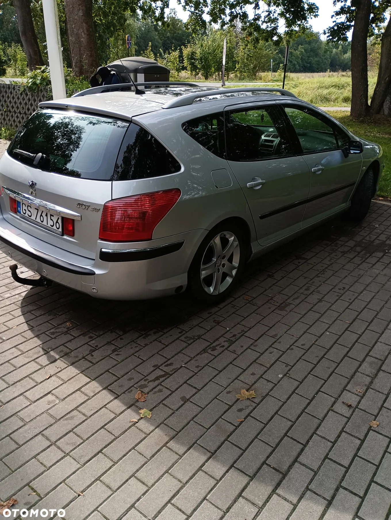 Peugeot 407 2.0 SV Executive - 2