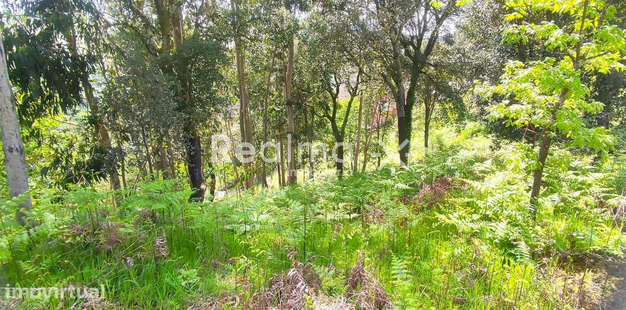 Terreno em Ruivães - Vieira do Minho p/ Construção - Grande imagem: 2/20