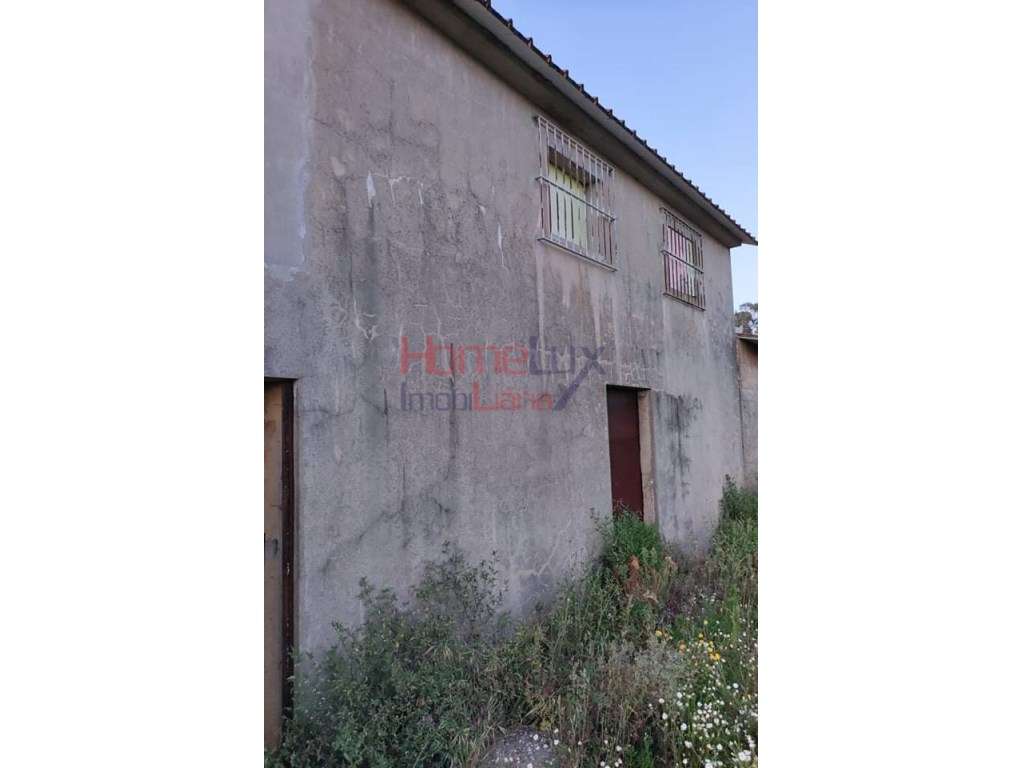 Quinta em Válega - Grande imagem: 4/23