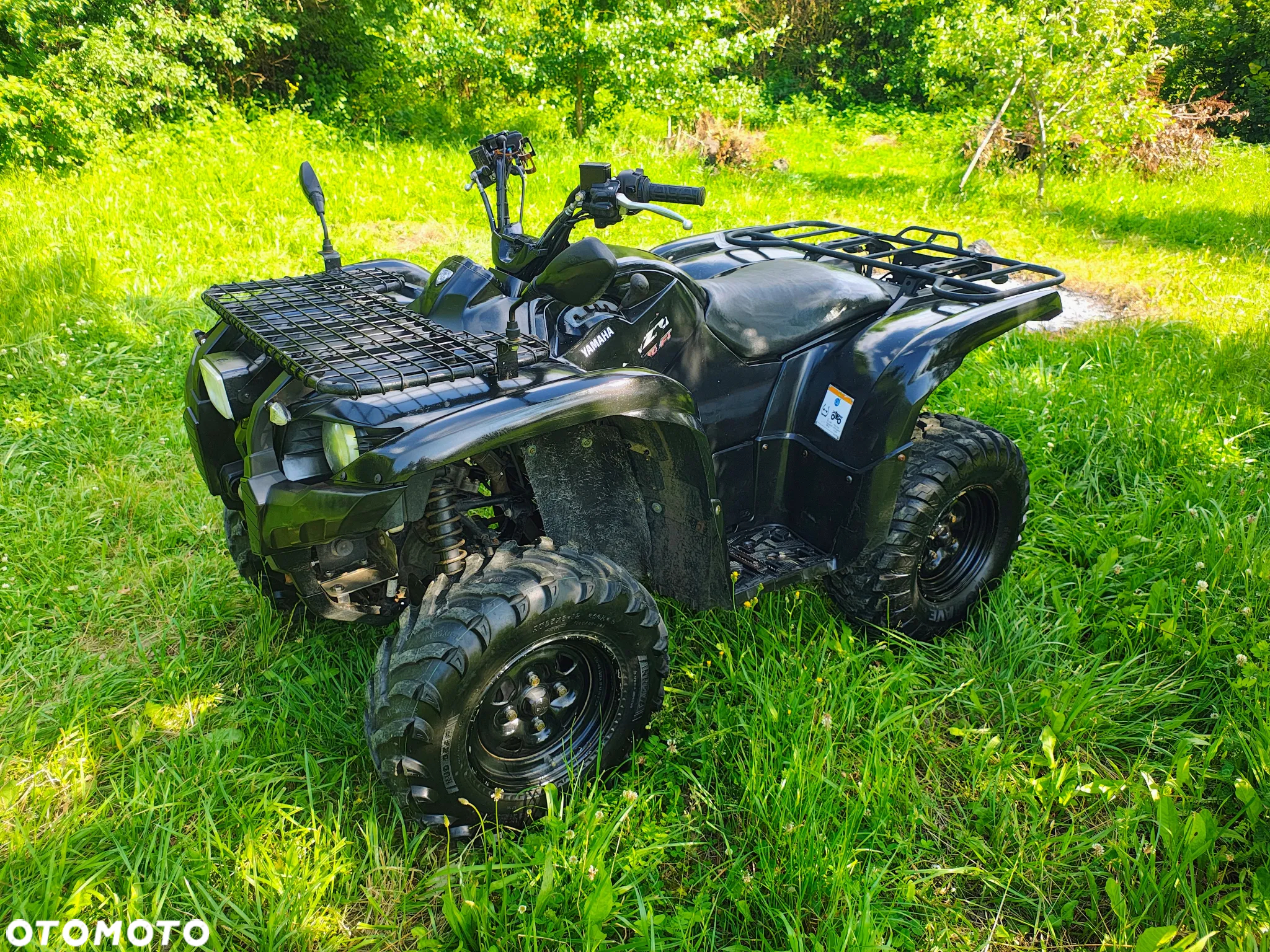 Yamaha Grizzly