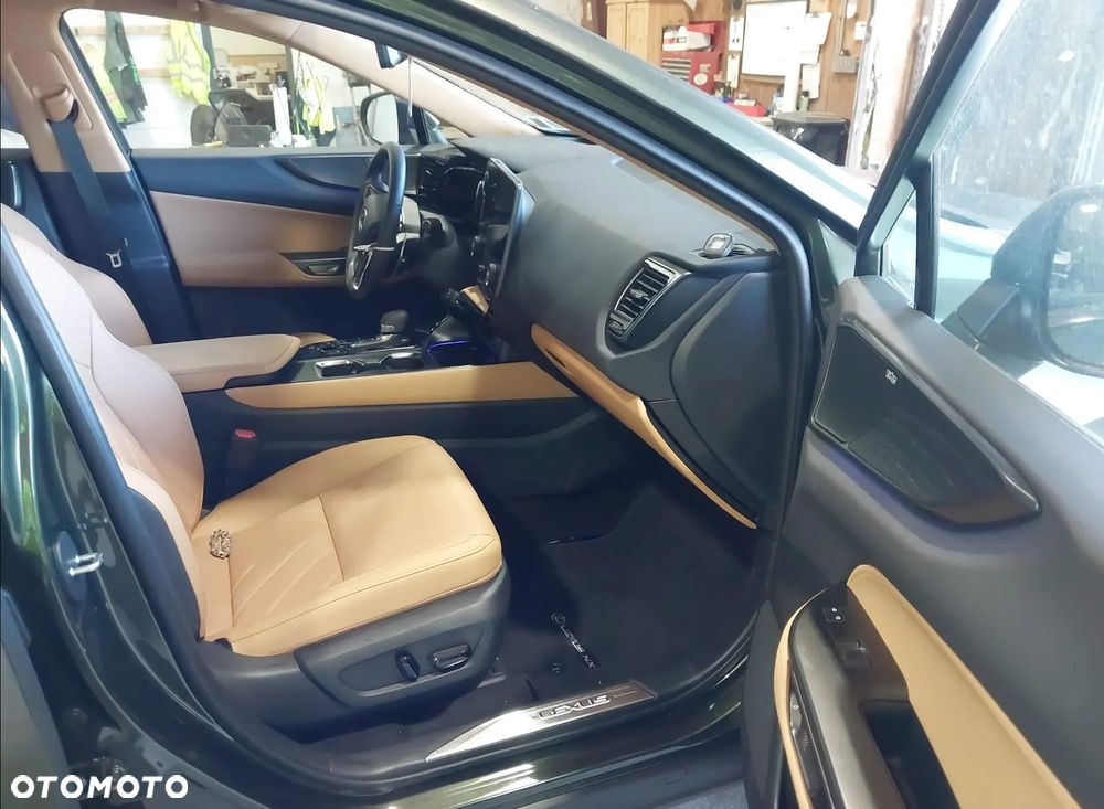 Lexus NX - 10