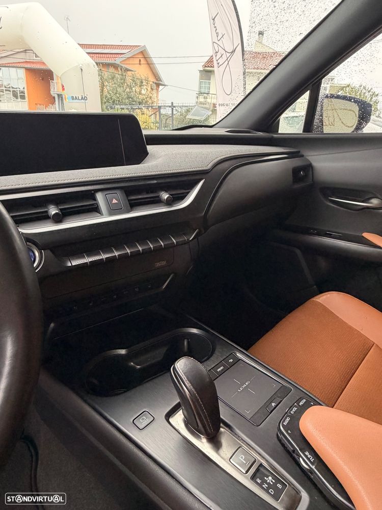 Lexus UX 300e - 15