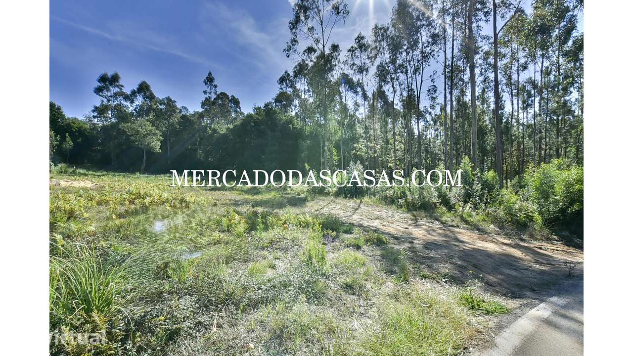 Terreno com viabilidade construtiva, Souto - Grande imagem: 3/4