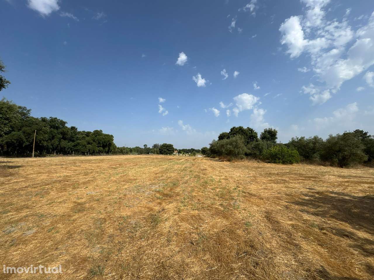 Terreno Rústico, Pinhal Novo - Grande imagem: 2/5