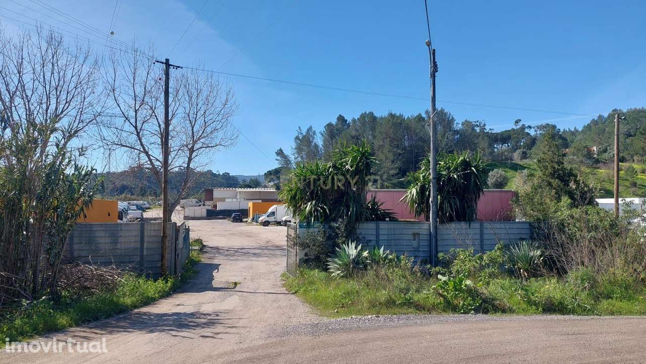 Terreno Multiusos (7680m²) com rendimento - Grande imagem: 4/22