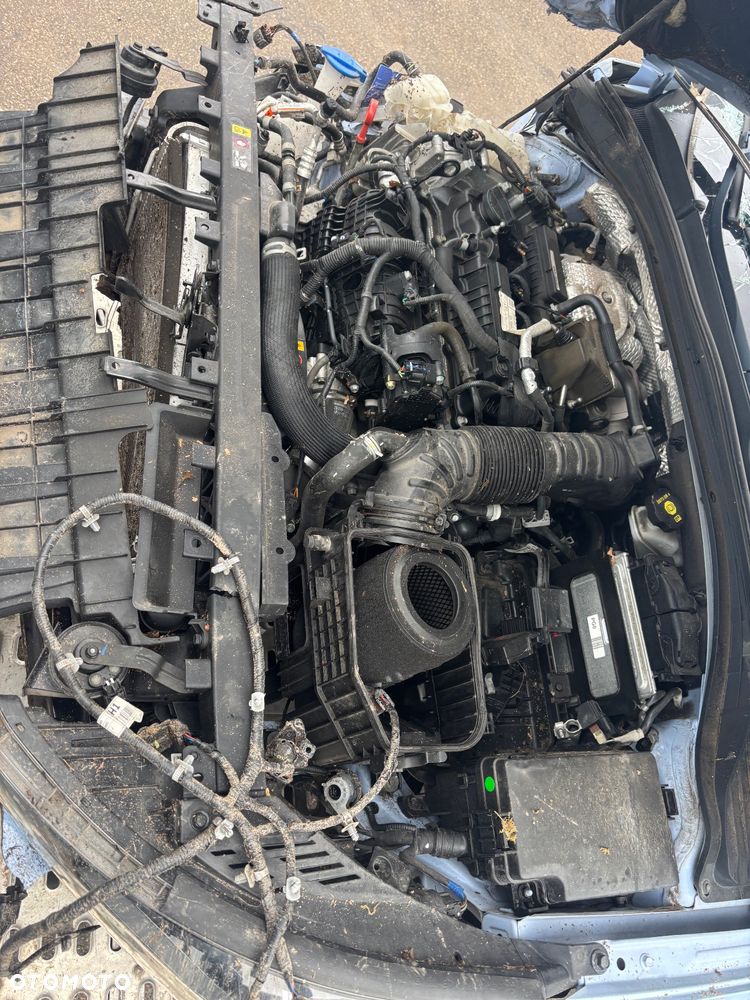 Hyundai i30 N 2.0 T-GDI Performance - 4