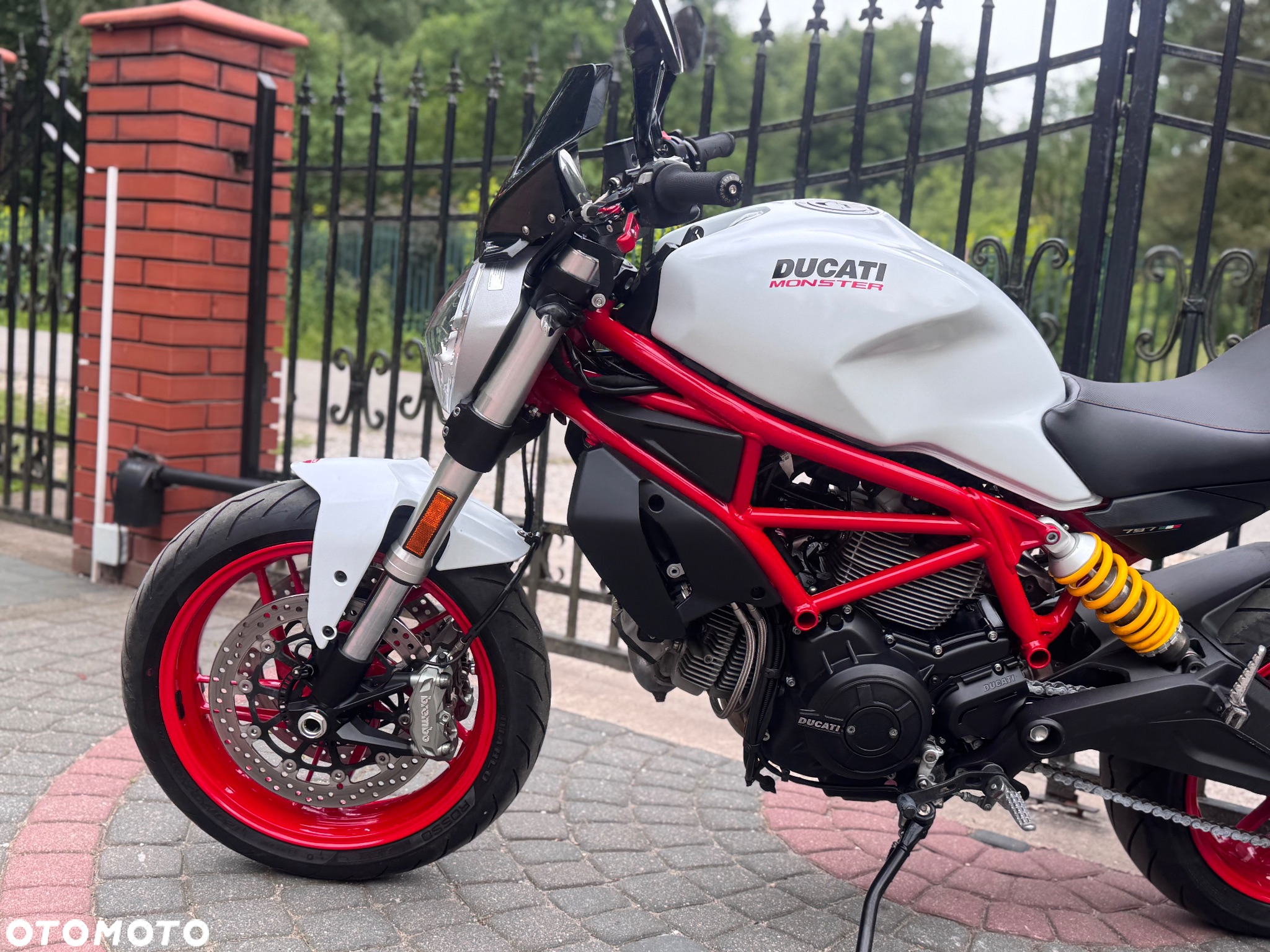 Ducati Monster - 19