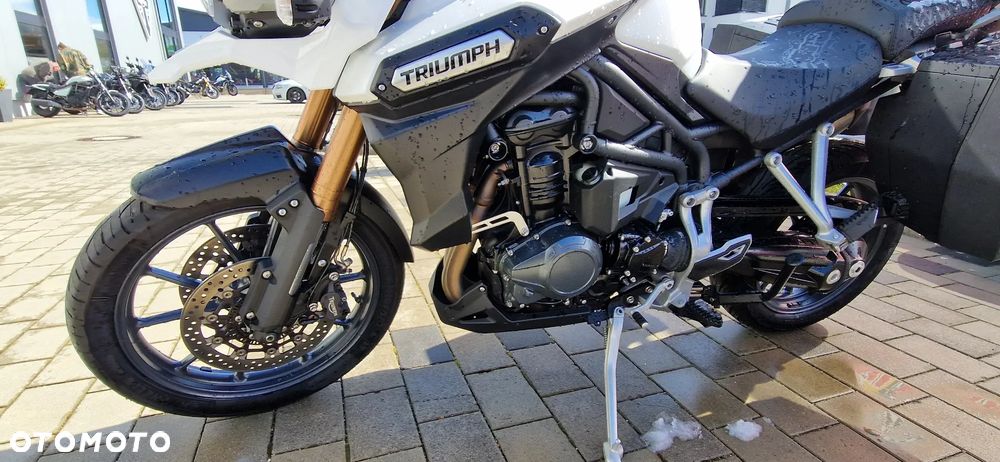 Triumph Tiger - 7