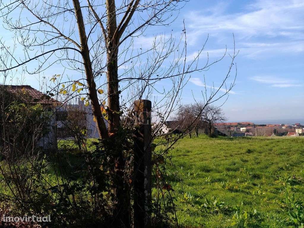 Terreno em Francelos - Grande imagem: 4/4