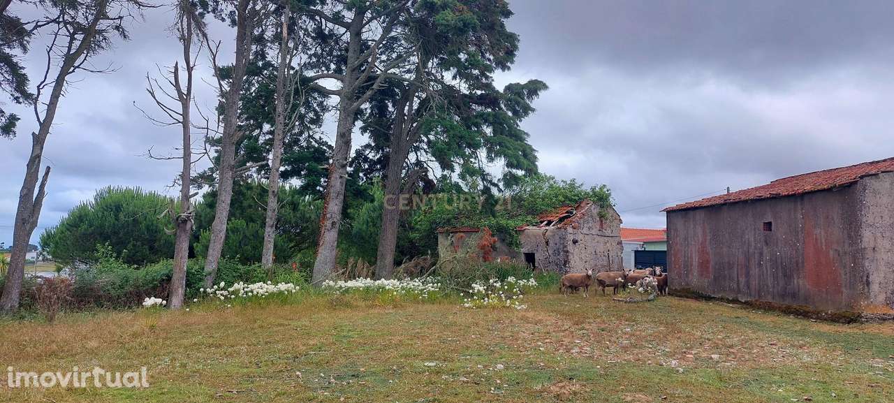 Terreno com Vista Panorâmica em Casal da Eira - Cela Nova, Alcobaça - - Grande imagem: 2/10