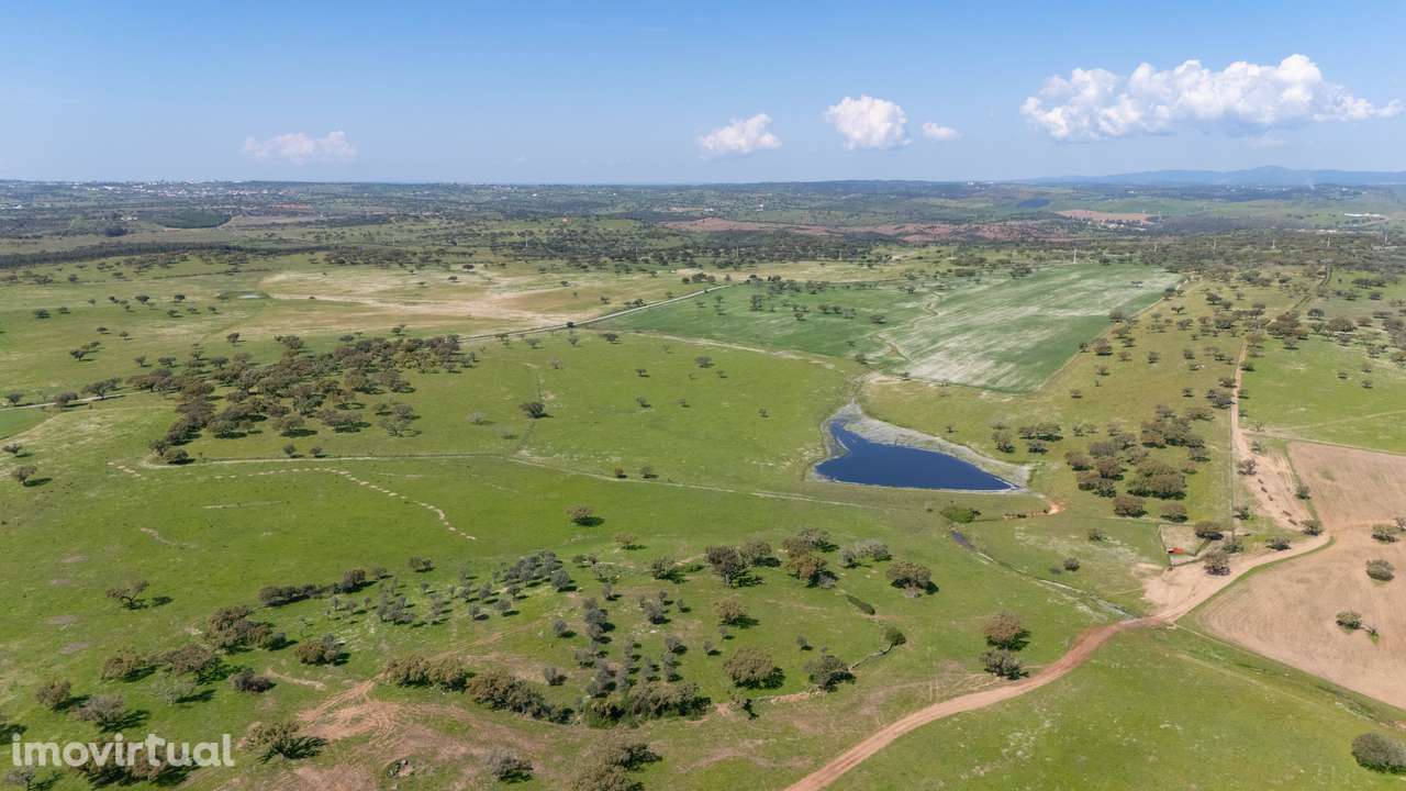 Herdade da Chamurreira de Baixo – Ativo Rural Estratégico com 63 Hecta - Grande imagem: 4/11