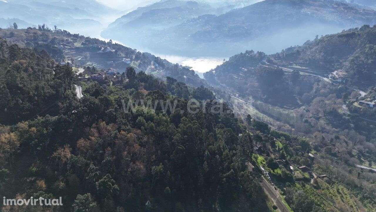 Terreno / Baião, Baião (Santa Leocádia) e Mesquinhata - Grande imagem: 2/9