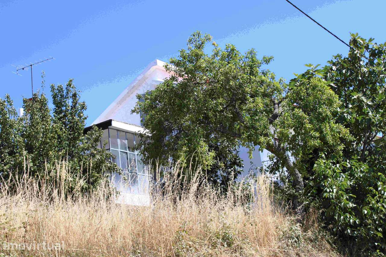 Casa de campo em Trás-os-Montes - Grande imagem: 4/15