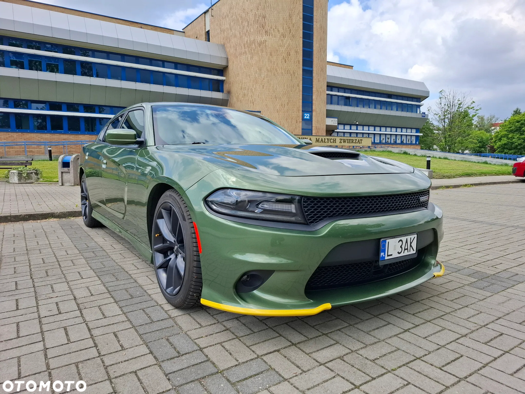 Dodge Charger - 5