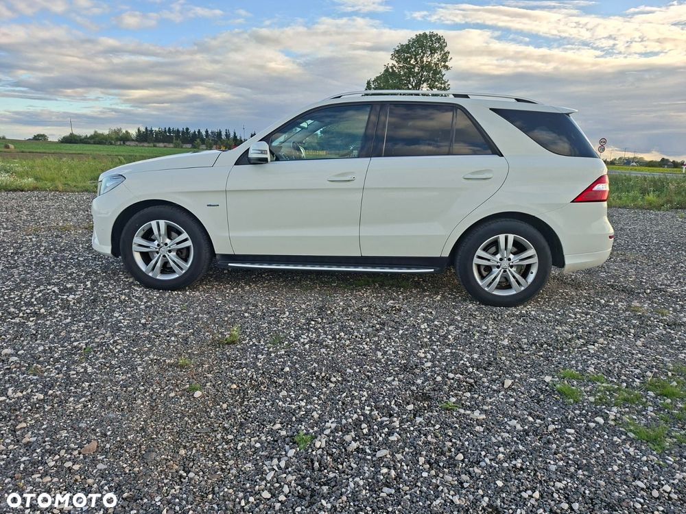Mercedes-Benz ML 350 BlueEff 4-Matic - 6