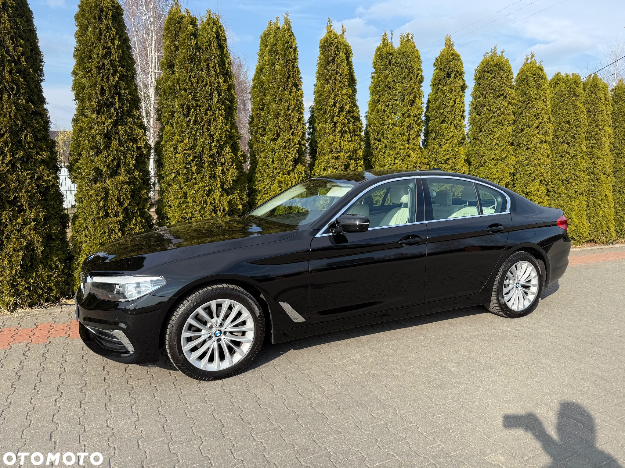 BMW Seria 5 520d Efficient Dynamics Luxury Line sport - 17