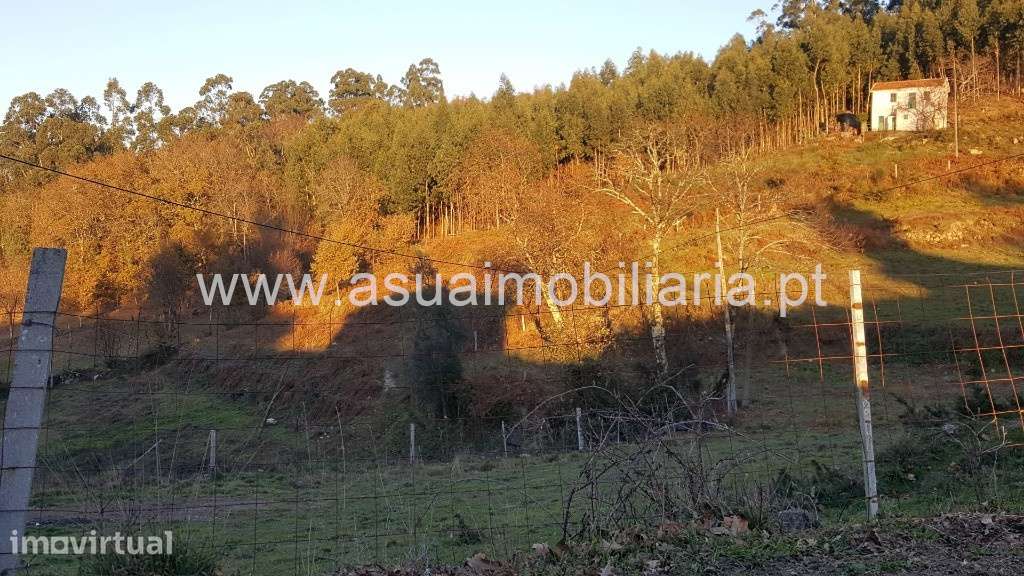 Terreno c/ Armazém - Caniçada / Vieira do Minho - Grande imagem: 2/3