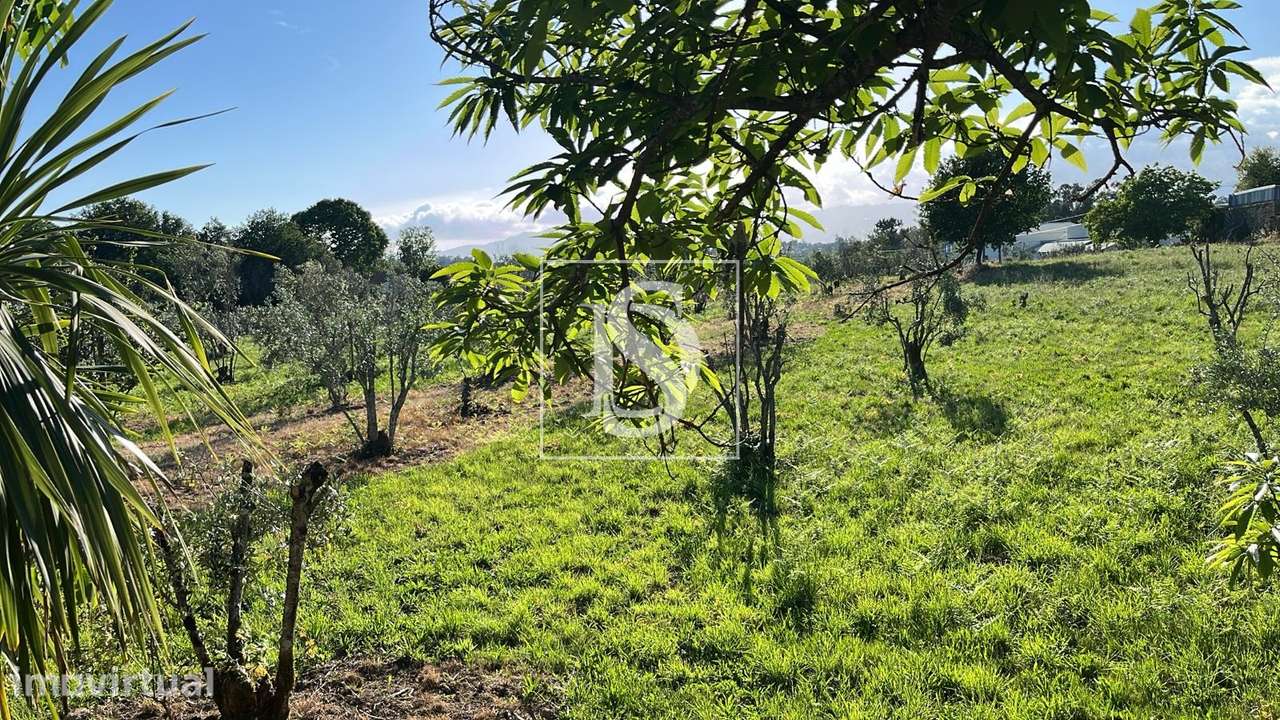 Terreno  Venda em Canas de Santa Maria,Tondela - Grande imagem: 3/20