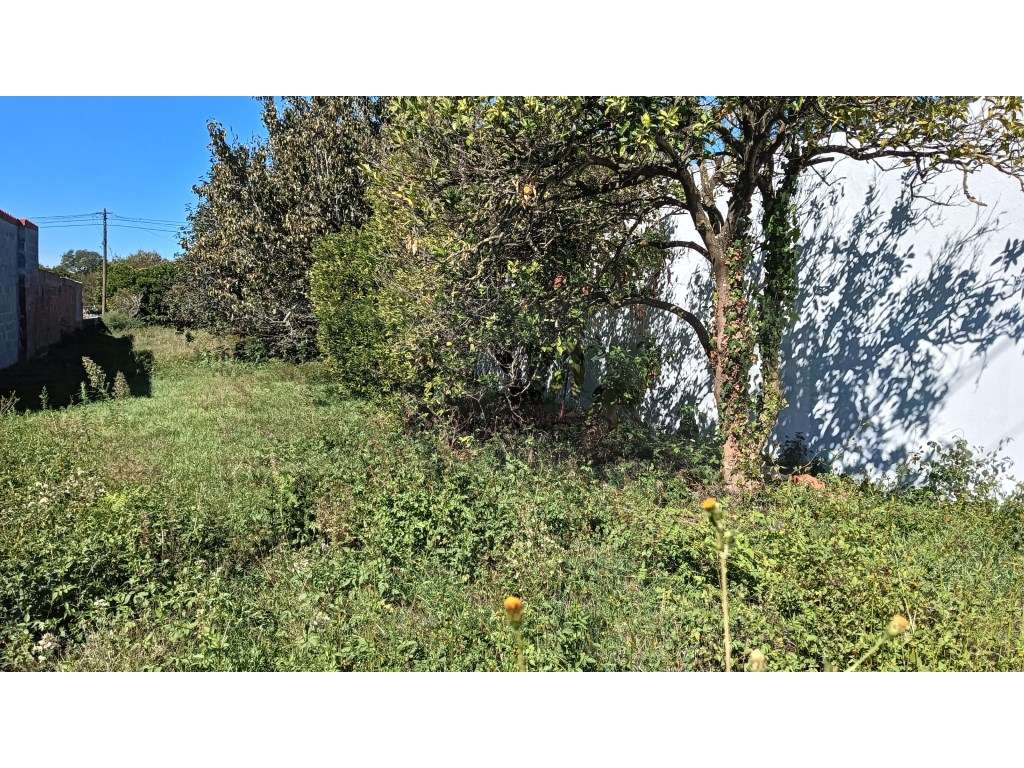 Terreno com projeto aprovado - Cacia / Aveiro - Grande imagem: 5/12